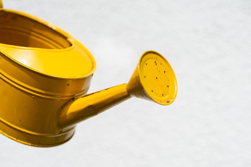 Magical Watering Can